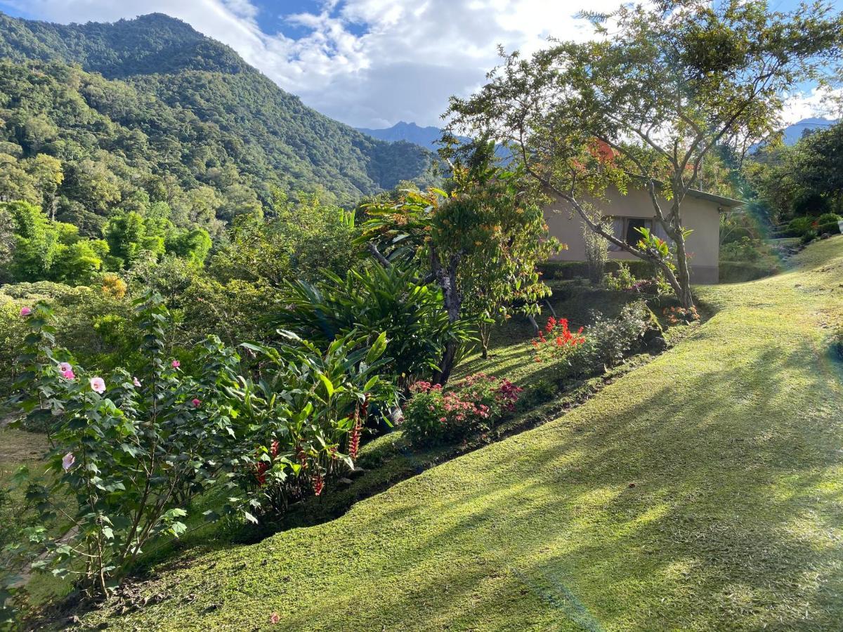 Hotel Uran Rivas Extérieur photo